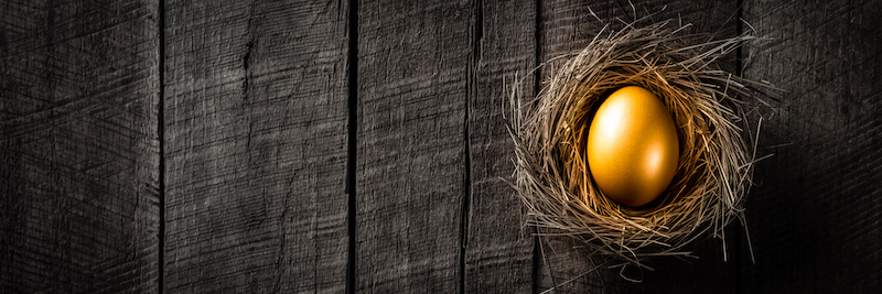 retirement nest egg, design build protect